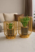 Golden Cage Planter Set Sparkles