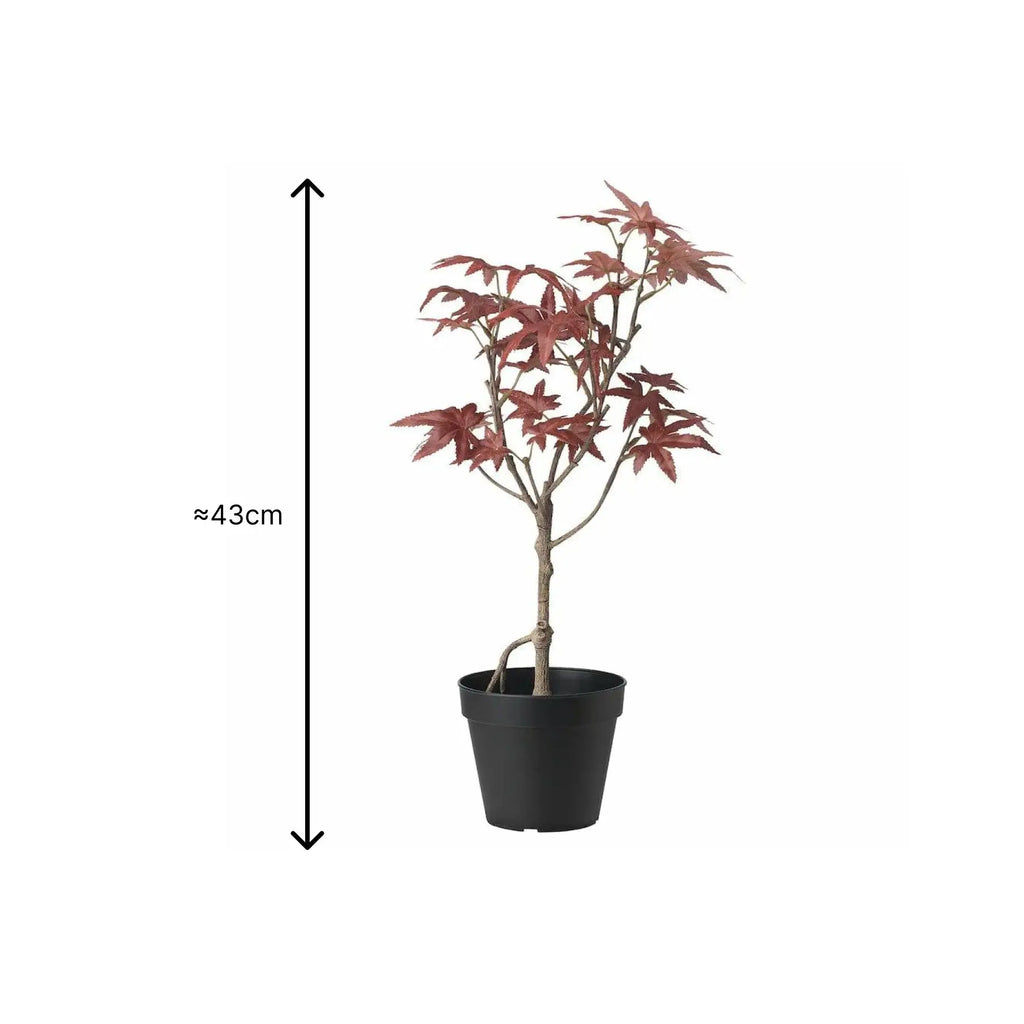 Ikea Fejka Plant Sparkles