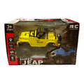 RC Off Road Jeep 2181 Sparkles