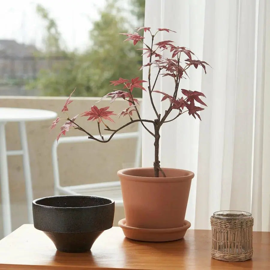Ikea Fejka Plant Sparkles