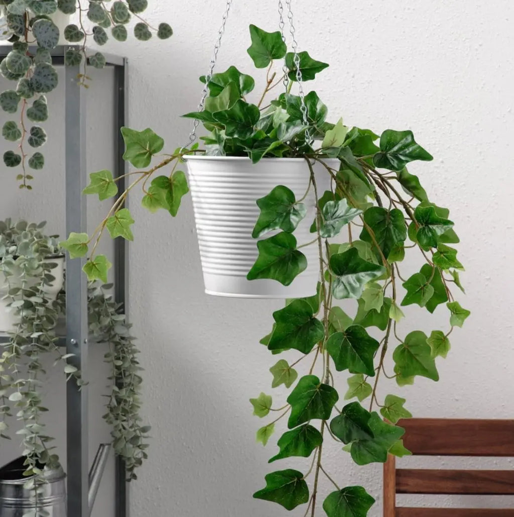 Plant Pot Ikea Sparkles