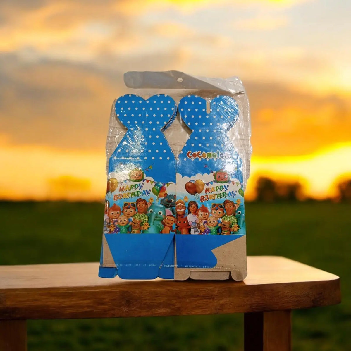 Goody Bags/Boxes Sparkles
