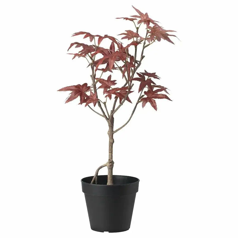 Ikea Fejka Plant Sparkles