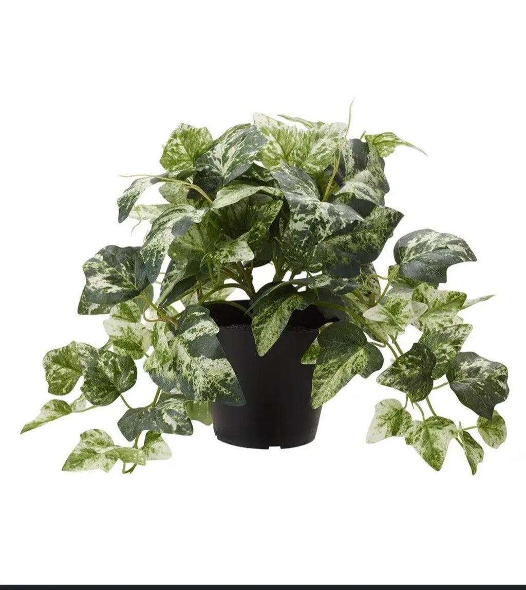 Ikea Fejka Plant Sparkles